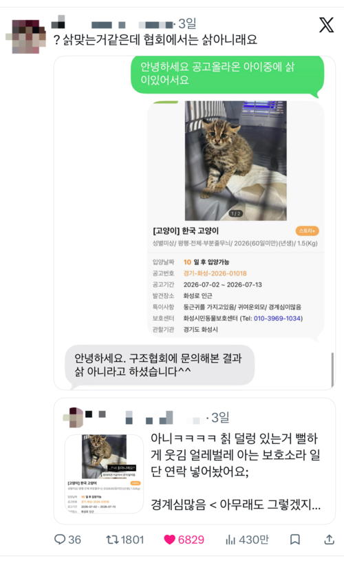 지난 주말 X(옛 트위터)에서 화성시민동물보호센터 공고 속 동물이 삵으로 보인다는 의문이 제기됐고, 이후 실제 삵으로 확인됐다. 사진은 관련 게시글 갈무리. /X 캡처