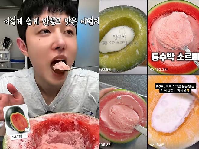 SNS에서 수박, 메론 등 제철 과일을 얼려 아이스크림으로 만들어 먹는 레시피가 유행하고 있다. /사진=구독자 52만명을 보유한 먹방 유튜버 '아누누' 유튜브 계정·인스타그램 계정 갈무리