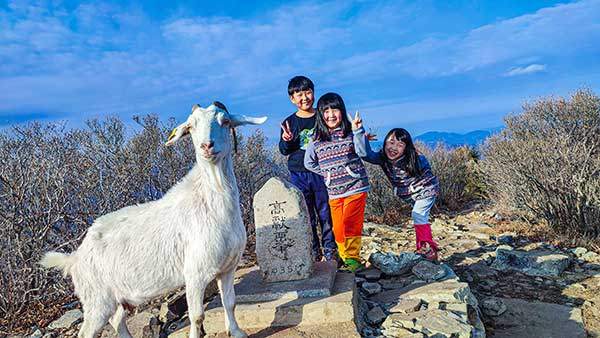 2024년 고헌산 산행 중 염소를 만났다.&nbsp;
