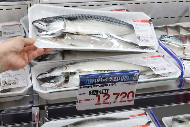 서울 시내 한 마트에 노르웨이산 고등어가 진열되어 있다.[연합]