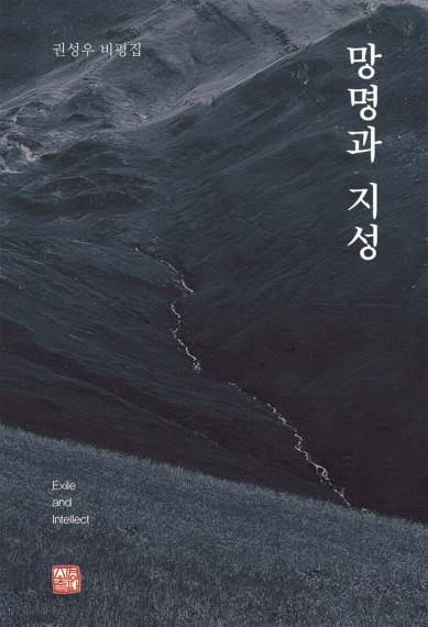 망명과 지성 [소명출판사 제공. 재판매 및 DB 금지]