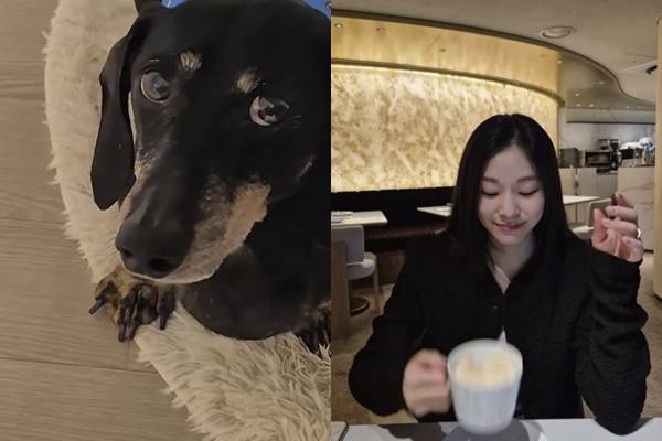 김연아 소셜 계정 캡처