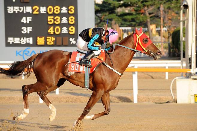 2012년 11월11일 당대불패가 대통령배에서 우승하는 모습. 한국마사회 제공