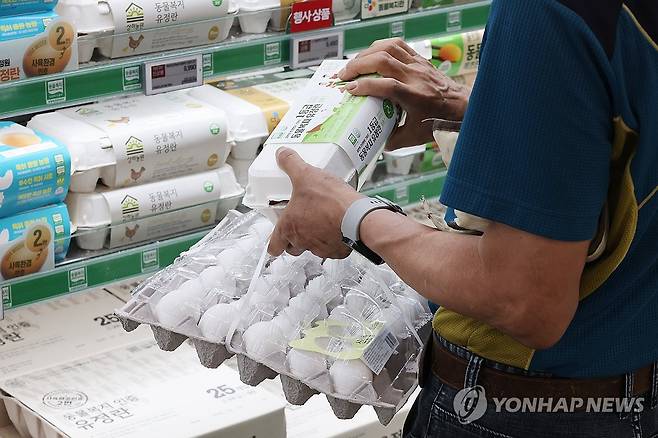 서울의 한 대형마트에서 국내산·미국산 계란을 비교해보는 시민 [연합뉴스 자료사진]