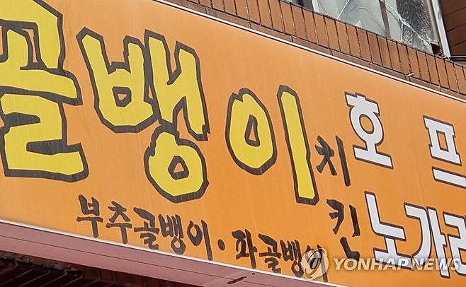 호프집 [연합뉴스 자료사진. 촬영 이충원]