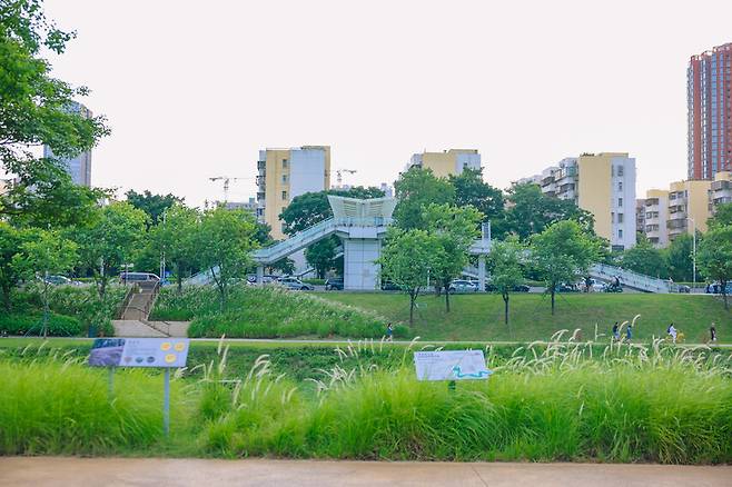 지난달 24일 찾은 중국 광둥성 선전의 다샤강 주변에 조성된 산책길로 사람들이 자전거를 타거나 걷고 있다. 신화통신 제공