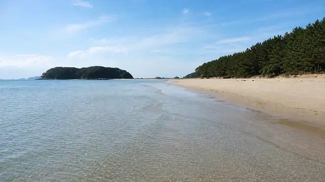 해변으로 이어지는 무창포 접근 도로와 송림 가장자리
