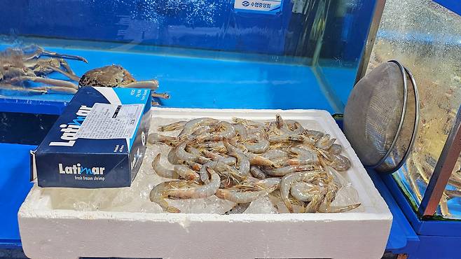 14일 강서수산물시장에서 새우의 신선도를 유지하기 위해 얼음이 깔려있다./황채영 기자