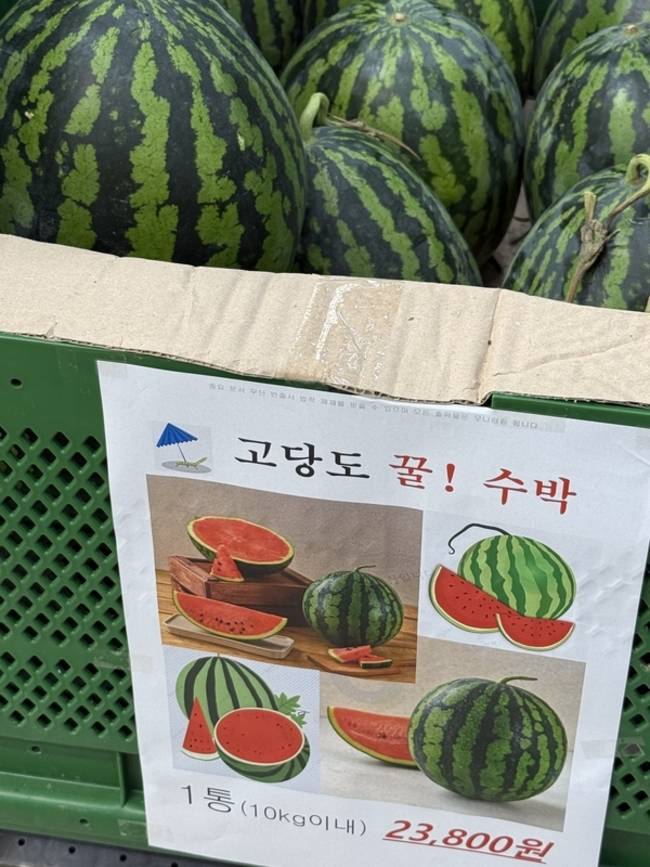 고약한 붉은 것(수박). /김윤지
