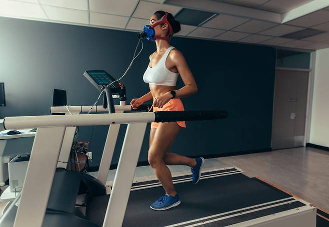 여성이 최대산소섭취량(VO2 Max)을 측정하고 있다. 트레드밀과 가스분석기로 정밀하게 측정할 수 있다. 운동 선수들에게는 체력과 경기력을 예측하는 일종의 수행능력 평가다. 일반인의 경우 이 수치는 노후에 독립적으로 생존할 수 있는지 가늠하는 생존 지표에 해당한다. 사진=게티이미지뱅크