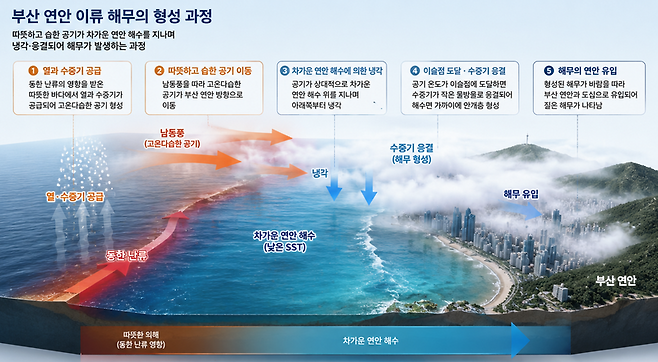 "구름 위 도시" 부산 해무, 우연 아닌 과학적 패턴