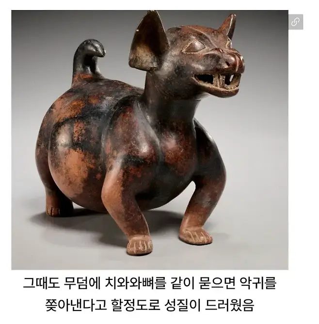 13763.webp 고대부터 인정된 것.jpg