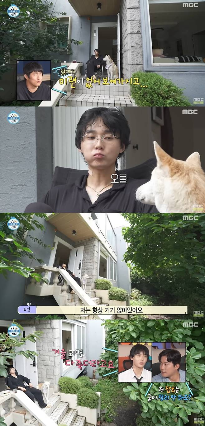 만성부신증후군 증상 및 원인 목련 나무 마당
