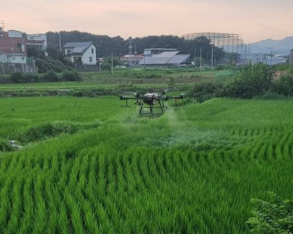드론 방제. /청주시 제공