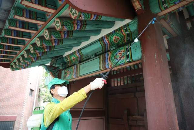 새마을자율방역봉사대 대원이 방역 취약지역에서 방역 활동을 펼치고 있다. 마포구청 제공