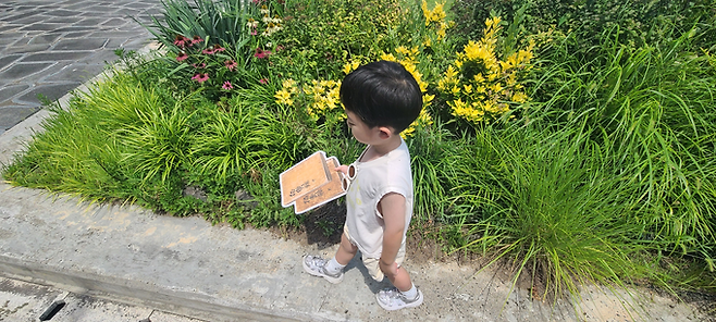▲ 한 어린이 관람객이 29일 의성조문국박물관 옥상정원에서 특별전 유물을 직접 살펴보는 '유물 찾기 프로젝트'에 참여해 유물 모양 보드판을 든 채 화단 사이를 살피고 있다. 의성군 제공