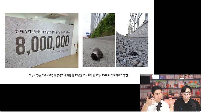 국립생태원에 따르면 국내에서 투명 방음벽과 건물 유리창 등에 충돌해 폐사하는 야생조류가 연간 약 800만 마리에 이른다(냥신TV 갈무리). ⓒ 뉴스1