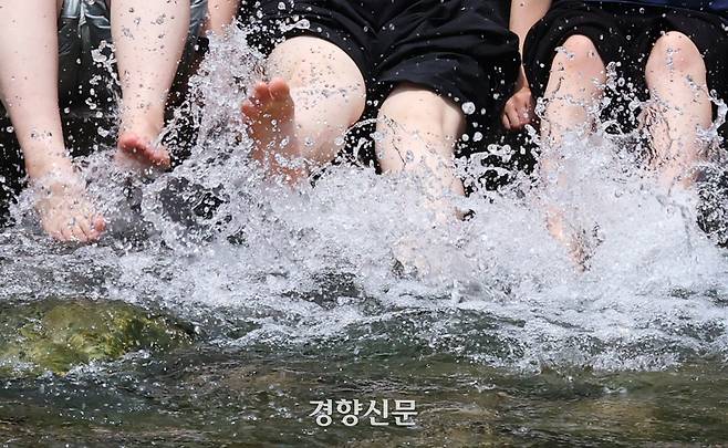 청계천에서 물장구
