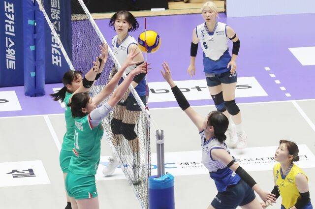 오사카 마블러스와 현대건설이 2일 제주 한라체육관에서 대결을 펼치고 있다./KBSN 제공