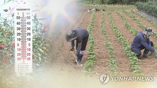 온열질환 유의 (CG) [연합뉴스 제공]