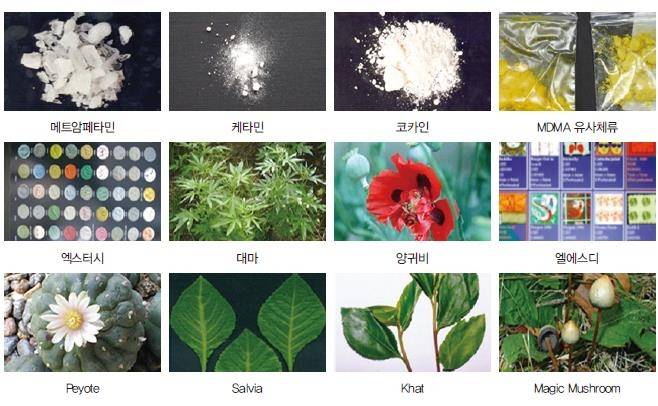 대표적인 마약류 ['마약류 감정백서 2025' 갈무리. 재판매 및 DB 금지]