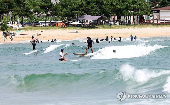 여름 즐기는 서퍼들 (양양=연합뉴스) 양지웅 기자 = 지난 4일 강원 양양군 죽도해변에서 관광객들이 서핑을 하며 여름을 즐기고 있다. 2026.8.4 yangdoo@yna.co.kr