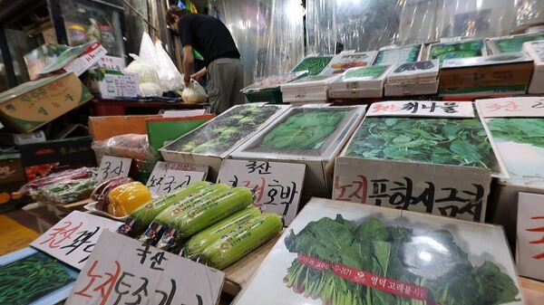 채소 가게 진열대에 놓인 야채 사진들. [출처=연합뉴스]