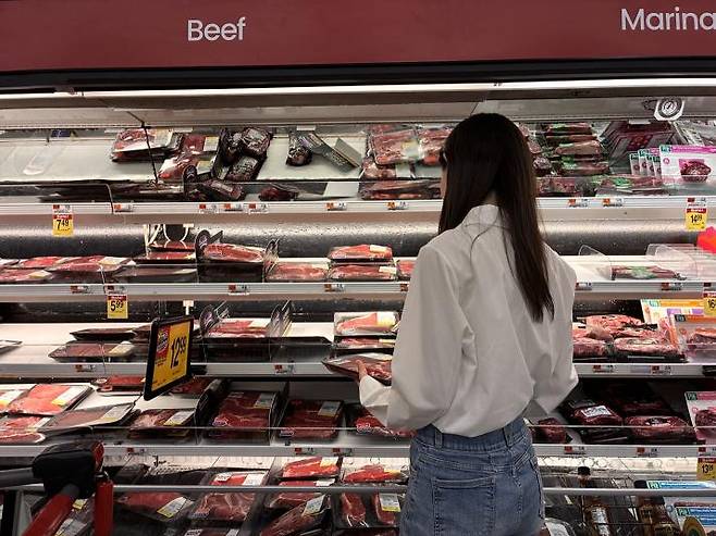 사진=머니투데이 미디어