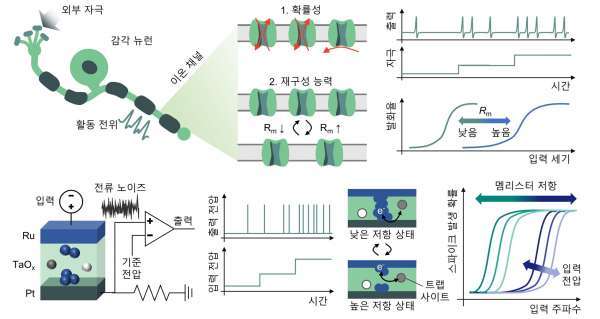 KAIST, 버리던 반도체 '잡음'으로 뇌처럼 작동하는 인공 뉴런 개발
