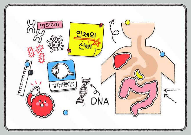 장기마다 노화 속도가 다르고 같은 사람의 장기라도 빨리 늙는 장기가 있을 수 있으며, 혈액의 유전자 발현 정보로 장기별 노화를 예측할 수 있다는 연구 결과가 나왔다. 게티이미지뱅크