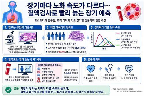 ChatGPT 활용 제작 인포그래픽 [Nature Medicine, Ernesto Abila et al. 연합뉴스