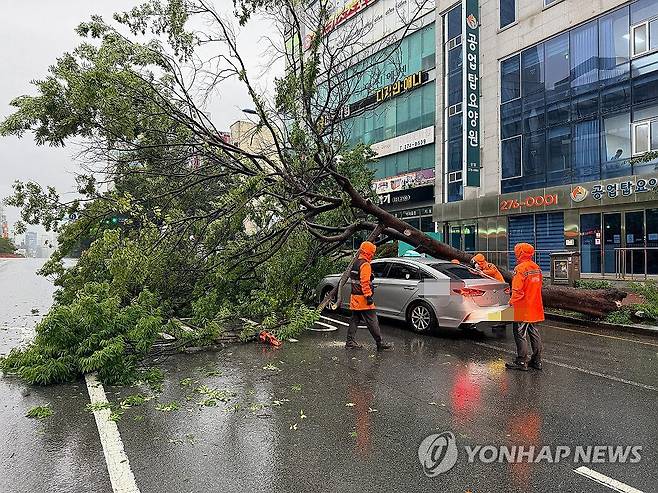 도로로 쓰러진 가로수 (울산=연합뉴스) 17일 울산시 남구 신정동 한 도로에서 택시 위로 가로수가 쓰러져 있다. 이 사고로 택시 승객 1명이 다쳐 병원으로 이송됐다. 울산에는 호우·강풍주의보가 내려졌다가 이날 해제됐다. 2026.8.17 [울산소방본부 제공. 재판매 및 DB 금지] yongtae@yna.co.kr