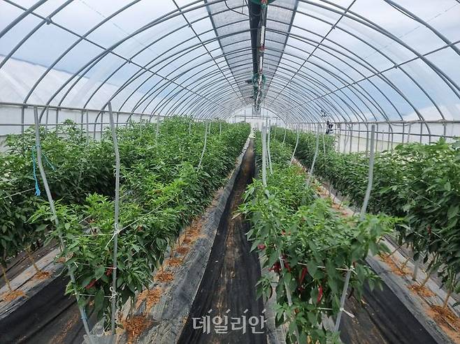 타이머 제어 모습. ⓒ농촌진흥청