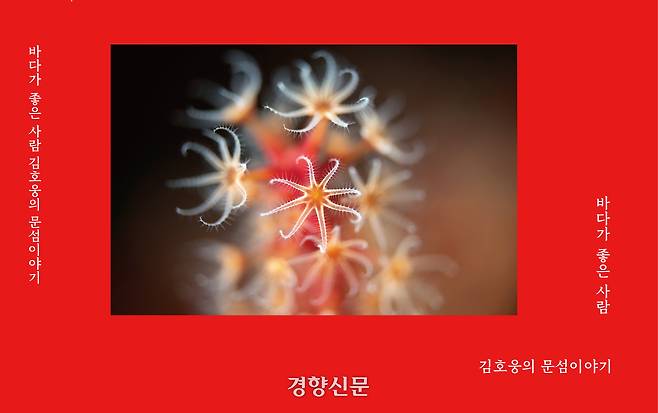 바다가 좋은 사람 김호웅의 문섬이야기. 사진가 김호웅 제공