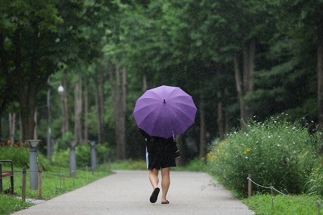 보랏빛 우산. 연합뉴스