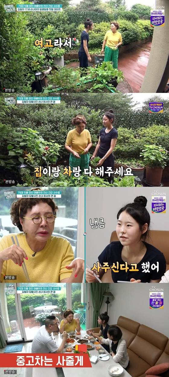 /사진=TV조선 '퍼펙트 라이프' 캡처