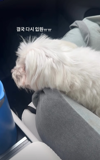 [사진=박성광 SNS]