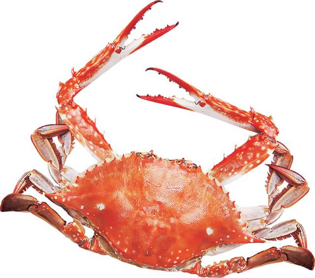 게티이미지뱅크