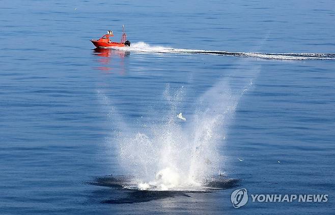 해상에 추락한 자폭용 드론 (부산=연합뉴스) 손형주 기자 = 지난 25일 부산 남방해역에서 진행된 해군 자폭용 드론 해상 운용 검증 전투실험에서 자폭용 드론(무인기)이 이륙 직후 해상으로 추락하고 있다. 이날 드론이 무인수상정을 타격하는 방식으로 진행될 예정이었던 전투실험은 마라도함에서 두차례 이륙한 드론이 해상에 곧바로 추락해 진행되지 못했다. 해군은 해양 운용성을 계속 검증해 나갈 것이라고 설명했다. 2026.8.26 [공동취재] handbrother@yna.co.kr