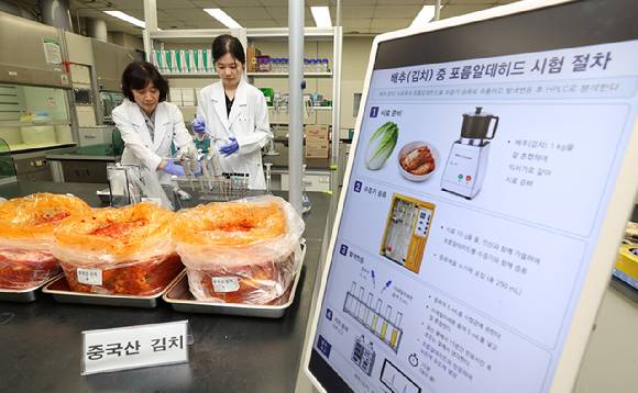 31일 서울 서초구 보건환경연구원에서 연구원들이 중국산 배추김치를 대상으로 포름알데히드 검사를 진행하고 있다. [사진=연합뉴스]