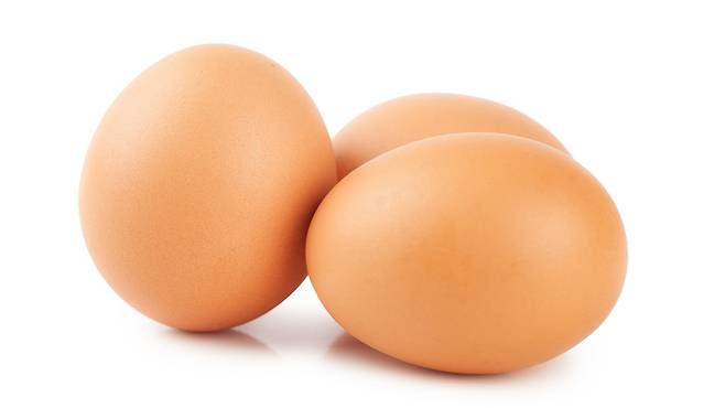 달걀은 훌륭한 영양 공급원이지만 동일 무게(100g) 기준으로는 귀리, 낫토, 해바라기씨, 모짜렐라 치즈의 단백질 비율이 더 높으므로, 각 식품의 고유한 열량과 지방 함량을 고려해 일상 식단에 다채롭게 배합하면 근육 건강과 영양 균형을 더욱 효과적으로 관리할 수 있다|출처: 클립아트코리아
