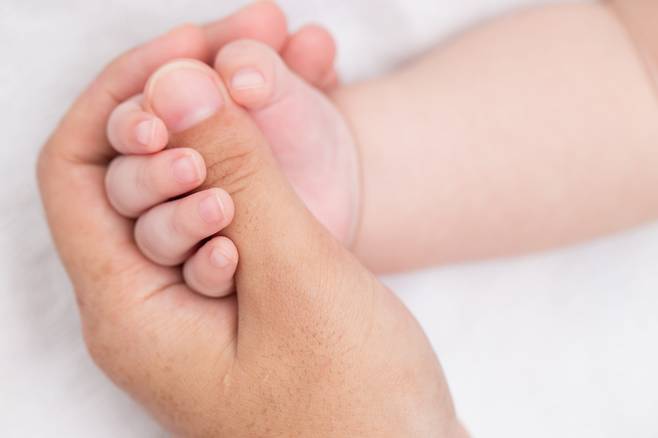 사진은 기사 내용과 무관 [123RF]