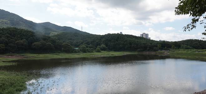물 차오른 도남저수지 [촬영 황수빈]