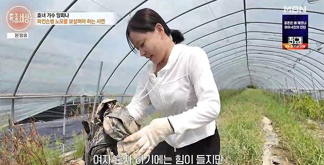 출처:MBN '특종세상'