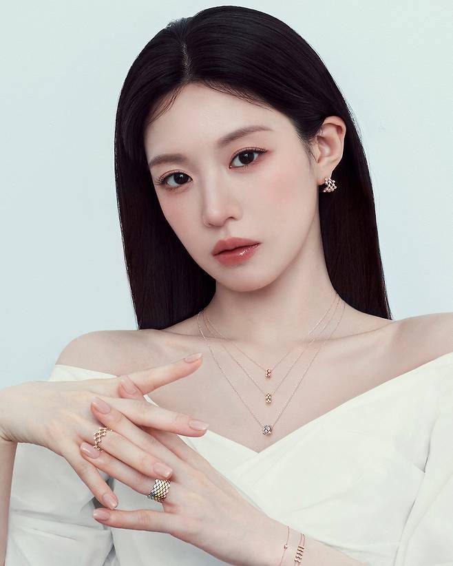 디디에 두보