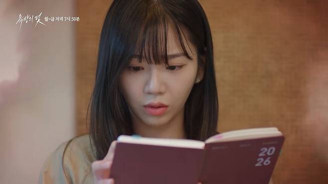 욕망의 덫 인물 관계