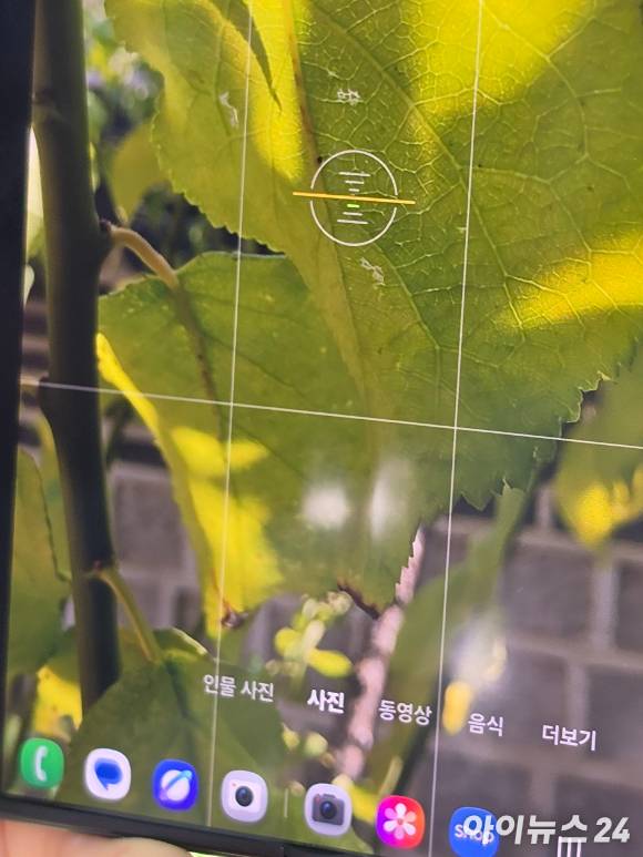 갤럭시Z 폴드8로 찍은 접사 사진. [사진=황세웅 기자]