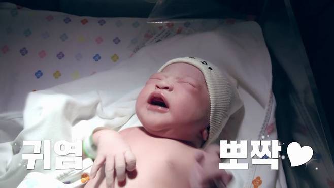사진제공｜채널A