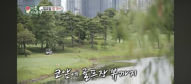 정준호 골프장 뷰 집 외관