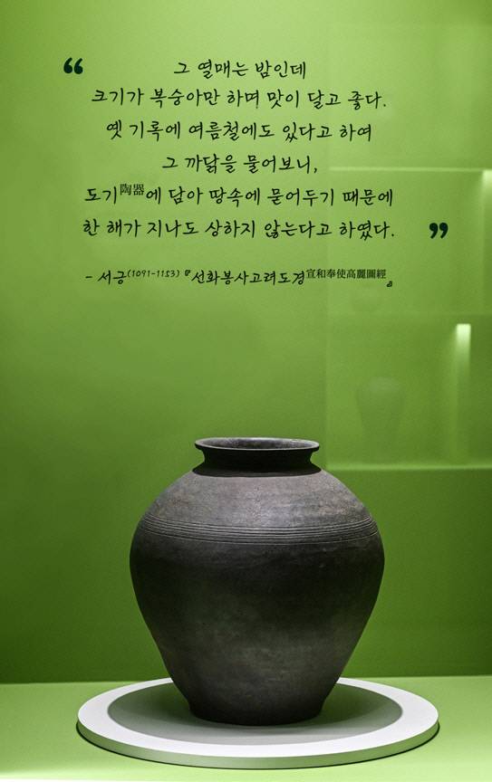 광주 연산동 산정에서 출토된 큰 항아리.